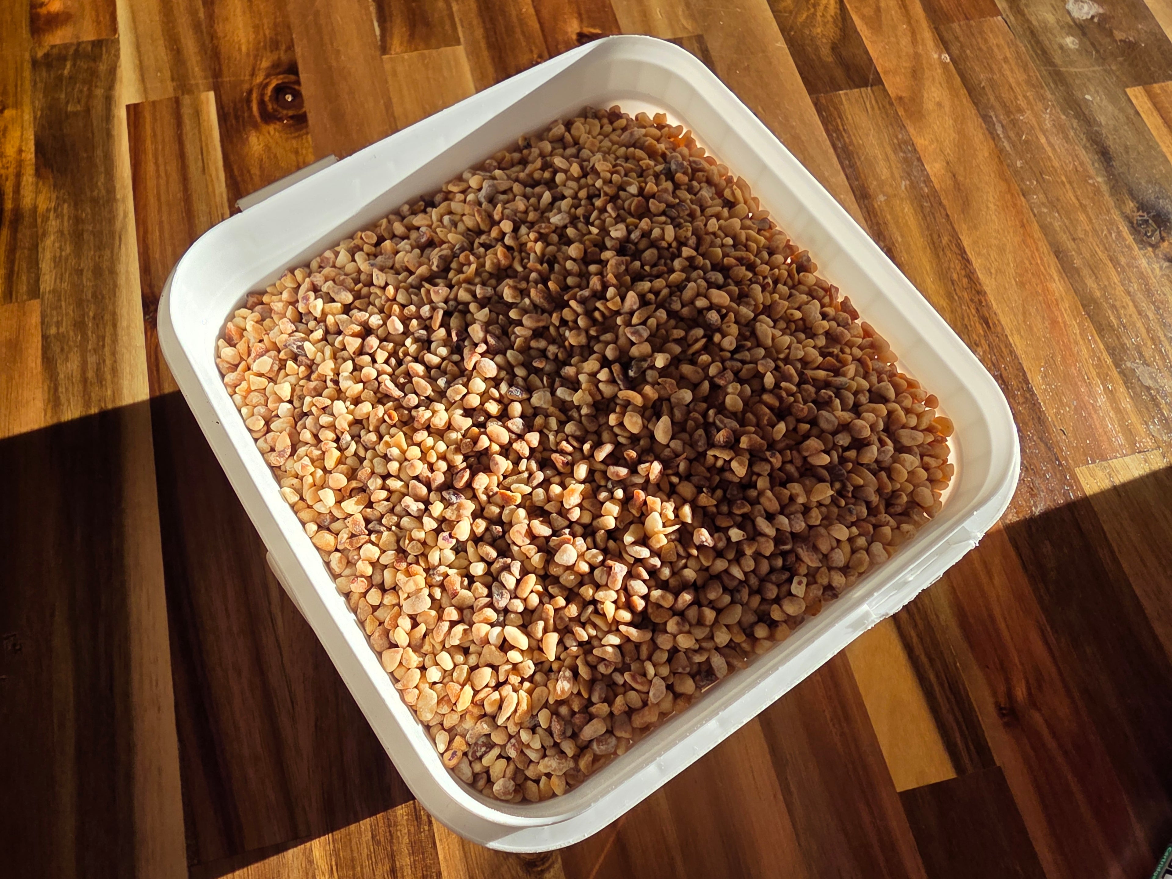 Praligrain noisettes